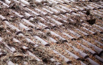 Lodsworth Common roof cleaning companies